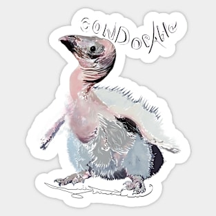 California Condor, Gymnogyps californianus Sticker